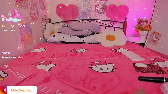 Misa_Sakurai webcam