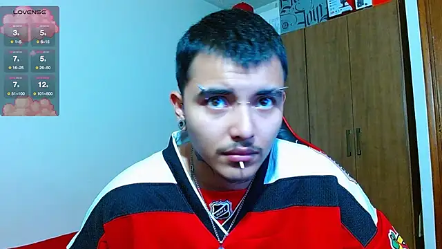 Hgp3riodictabl3 webcam