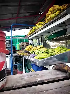 Brenda_Berck_ webcam