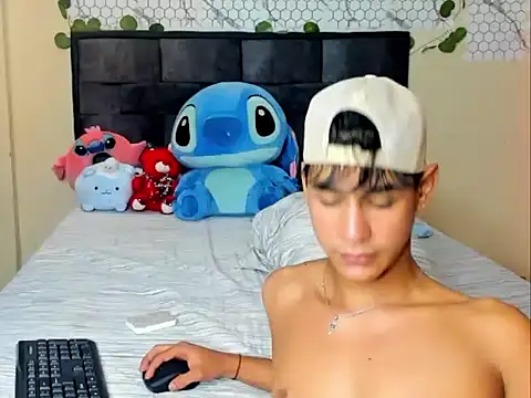 Stiben_coll12 webcam