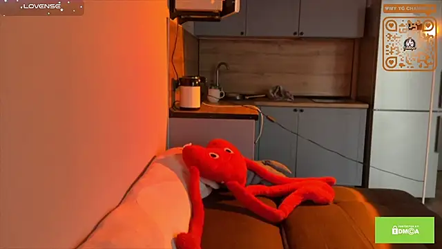 Veneloppalife webcam