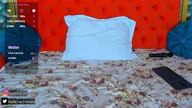 VallerieJones webcam