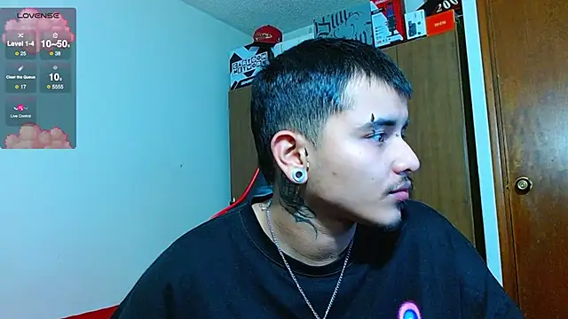 Hgp3riodictabl3 webcam