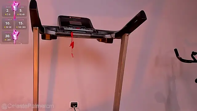 CelestePalmer_ webcam