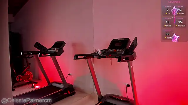 CelestePalmer_ webcam