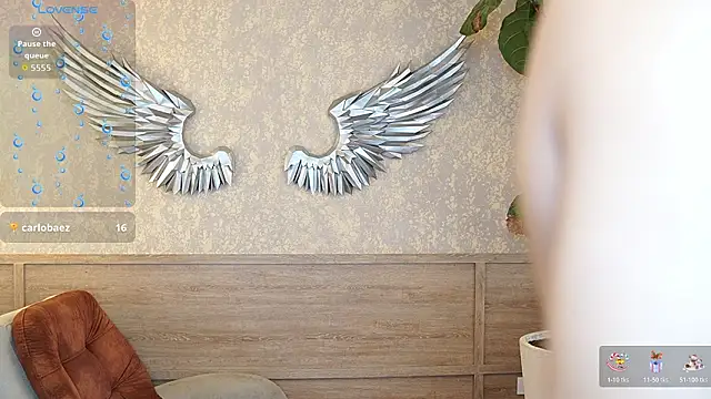 Ethan_occonor webcam