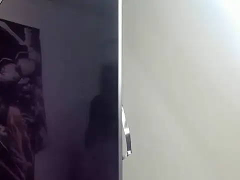 bigger_ragnarsson webcam