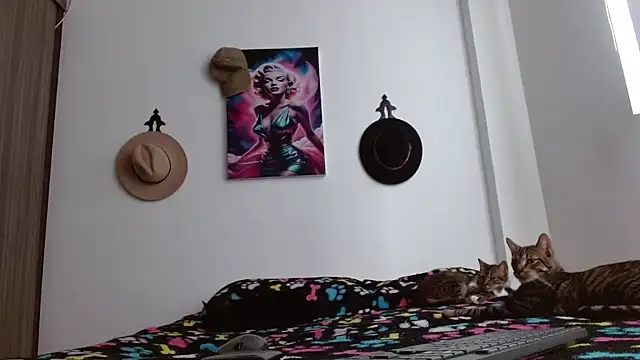 Crystal_Star_ webcam