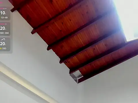 Philipp-Jones webcam