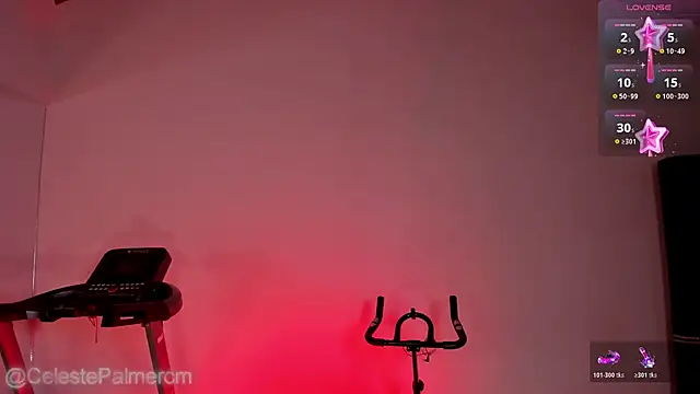 CelestePalmer_ webcam