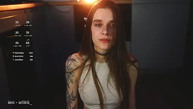 Arlitik webcam