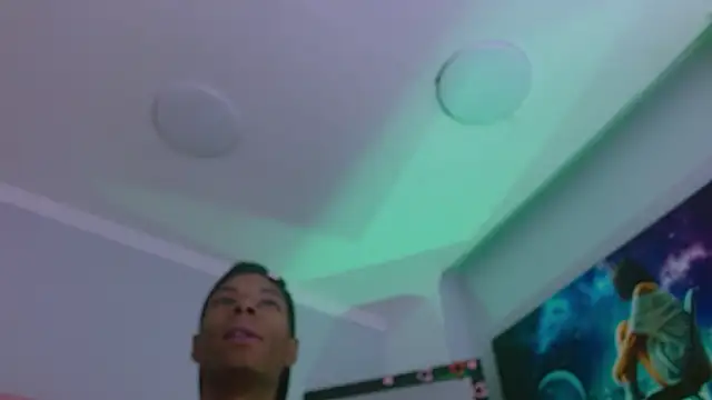 Santiago_Ortiz_ webcam