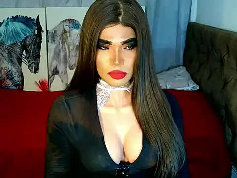 terra_HORSECOCK webcam