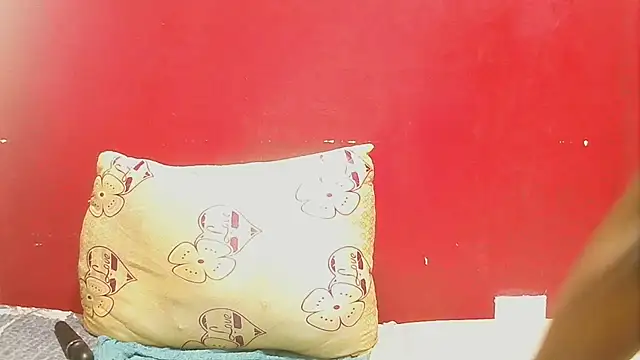 BlackDiamond21xx webcam