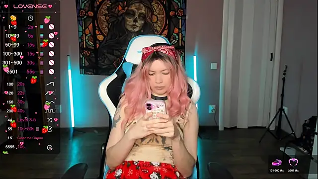 Project_hisoka webcam