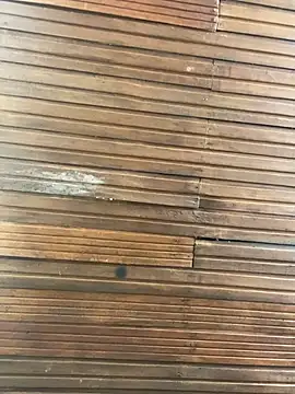 Little_aphrodite webcam