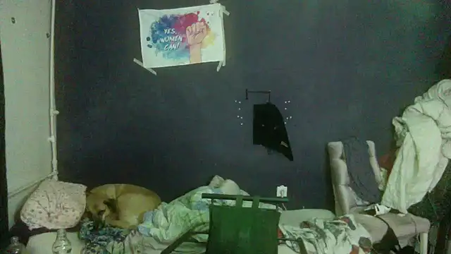 turkishTransEfsun webcam