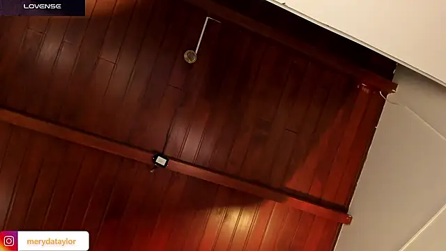 MERIDA_TAYLOR webcam