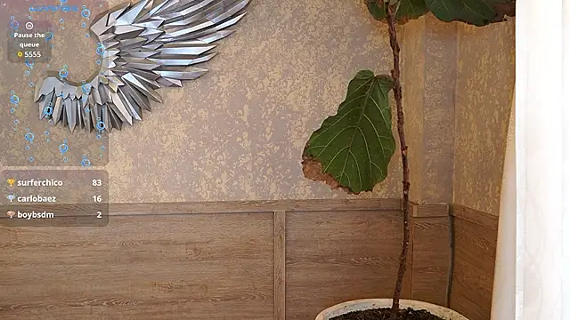 Ethan_occonor webcam