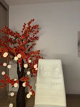 VictoriaHiill webcam