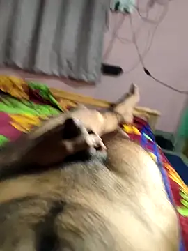 bengali_hard_dick12 webcam