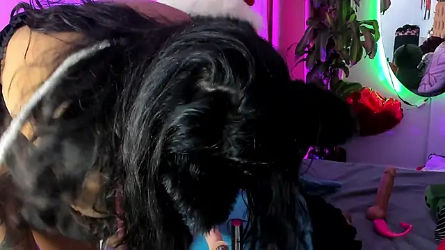 MeowMota_ webcam