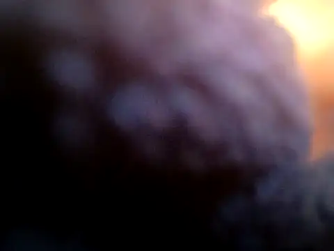 Bigcockmexi13 webcam