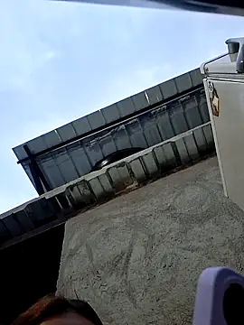 young_dairy01 webcam