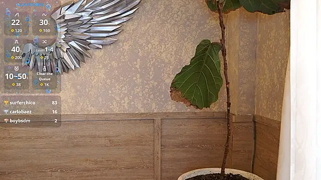 Ethan_occonor webcam