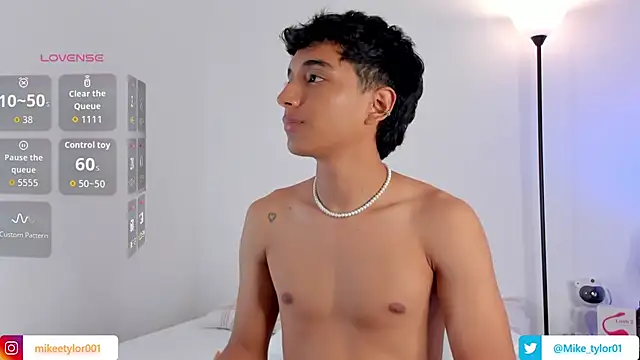 mike_tylor01 webcam