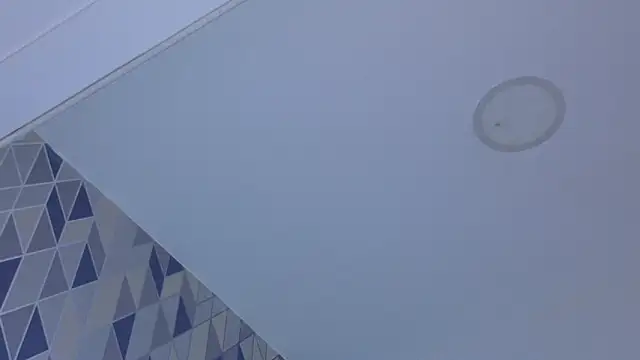 kinkyandsavage webcam