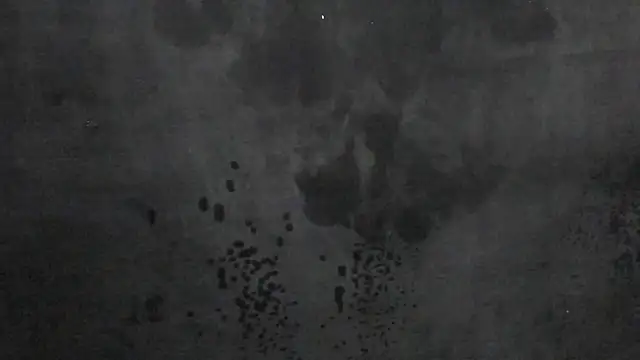 Angel_zafiros webcam