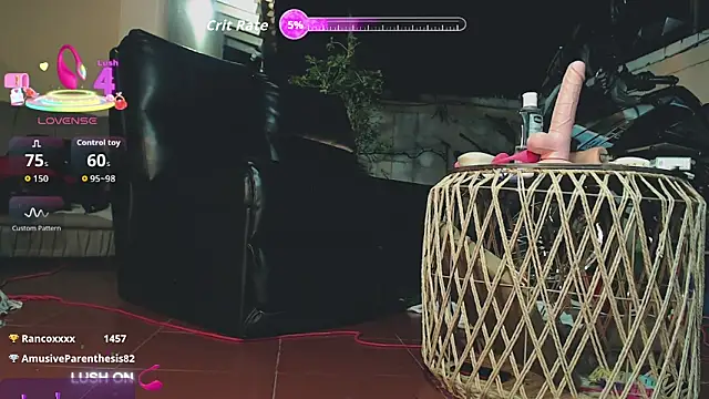 Neil_and_isaac webcam