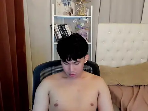 davincihugecock webcam