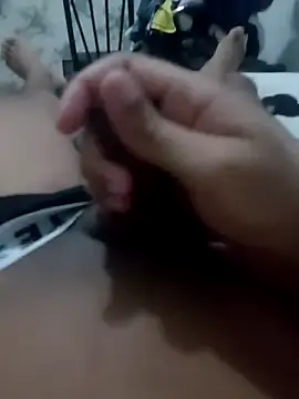 Faelpauzudo13 webcam