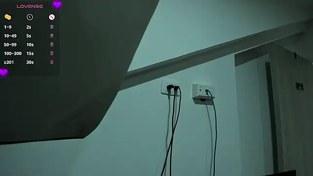 Xavier_Fox___ webcam