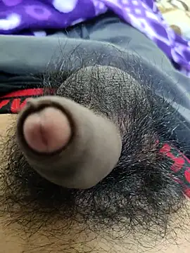 _Stripchat_Owner_ webcam