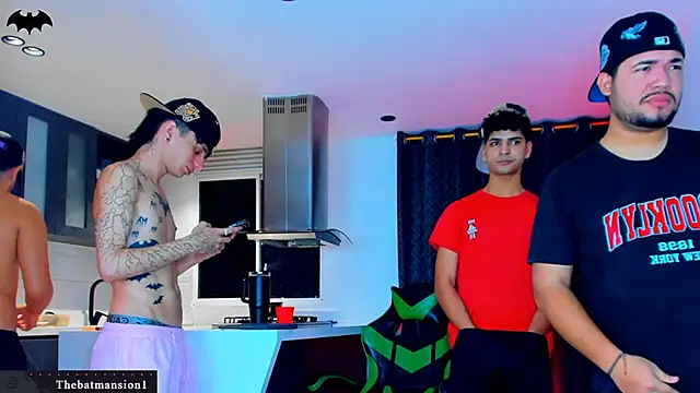 TheBatMansion webcam