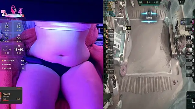 baileymonarch webcam