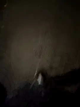 secret_secret1 webcam