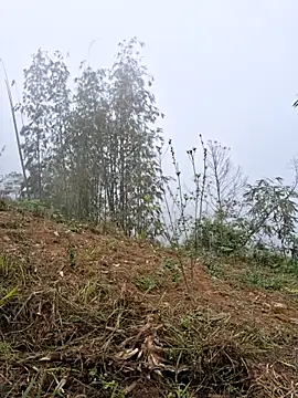 diamond-- - Diamond--'s free webcam