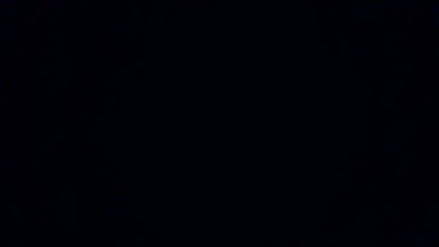 TeddyGominola_ webcam