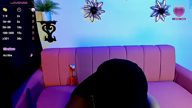 bashiraghazali_ webcam