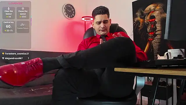 Nicolas_Fellener webcam