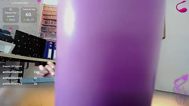 britanny_noroeste webcam