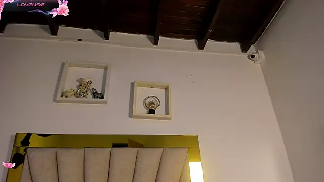 vahiolet_fuentes webcam