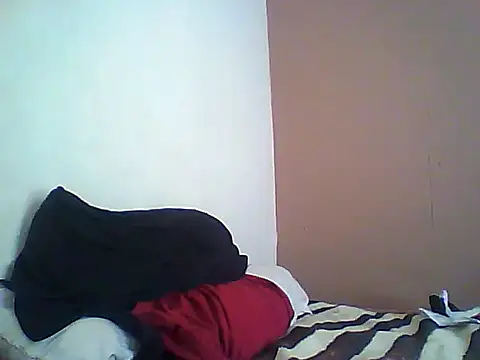 TitularAdaption webcam