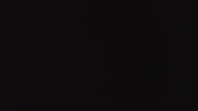 Benny_and_Mark webcam