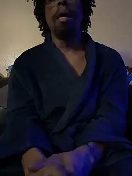 SmurffyBleu16s304s webcam