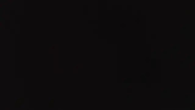 Benny_and_Mark webcam